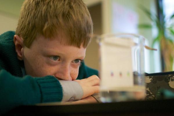 Ardvreck science boy test tube 1