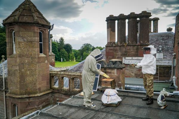 Strathallan Beekeeping2
